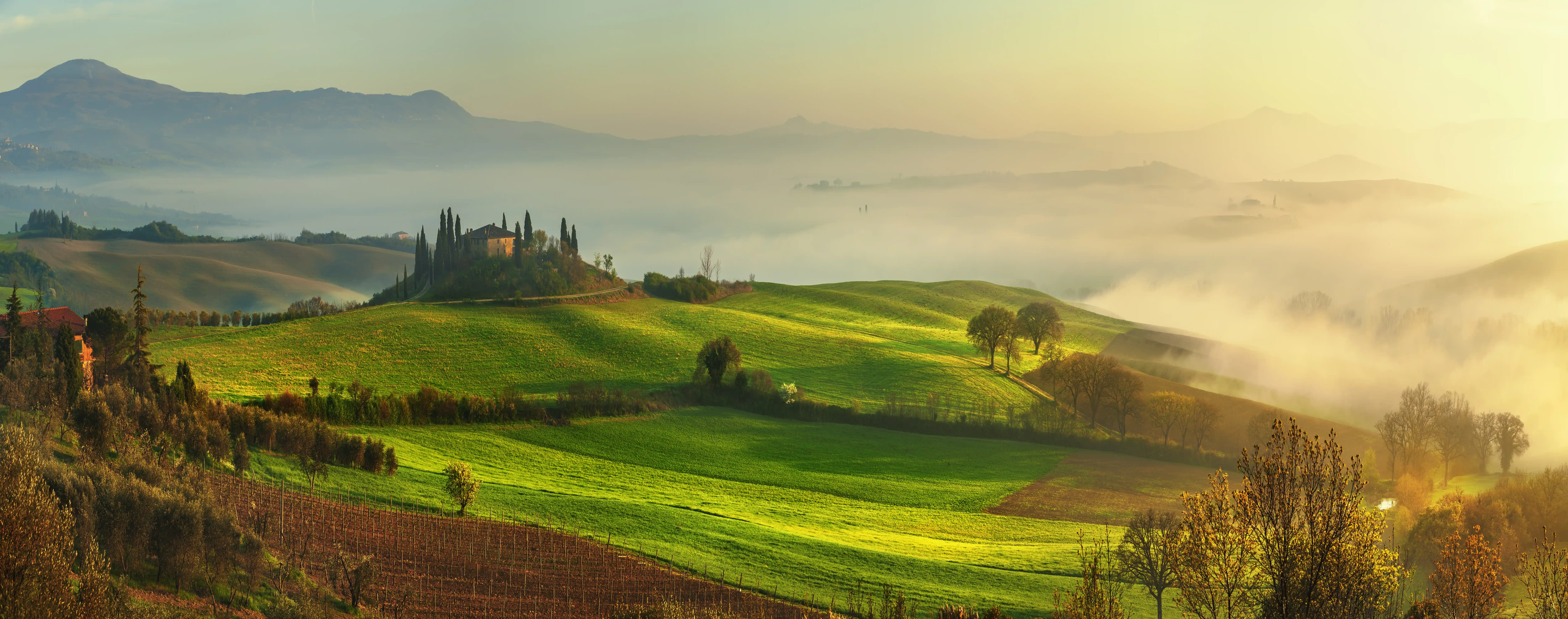-傳遞永續、淨零的信念 簡又新帶領 TAISE 發揮最大影響量能_特別專訪 中華民國無任所大使、台灣永續能源研究基金會 (TAISE) 董事長　簡又新